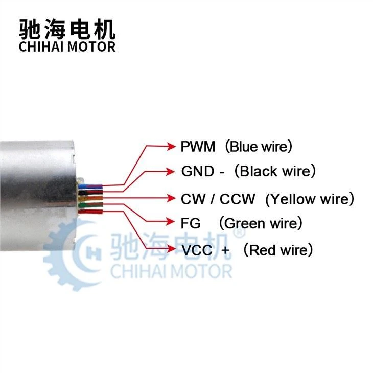 DC12V 6RPM Worm Gear Brushless 2838 Motor For Robots