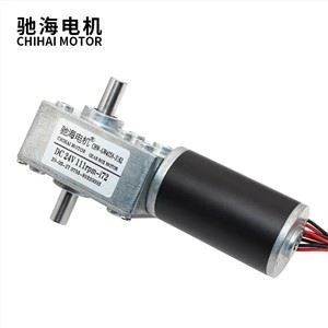 Dual Shaft CW / CCW 50kg.cm Pužni motor s visokim okretnim momentom 31ZY